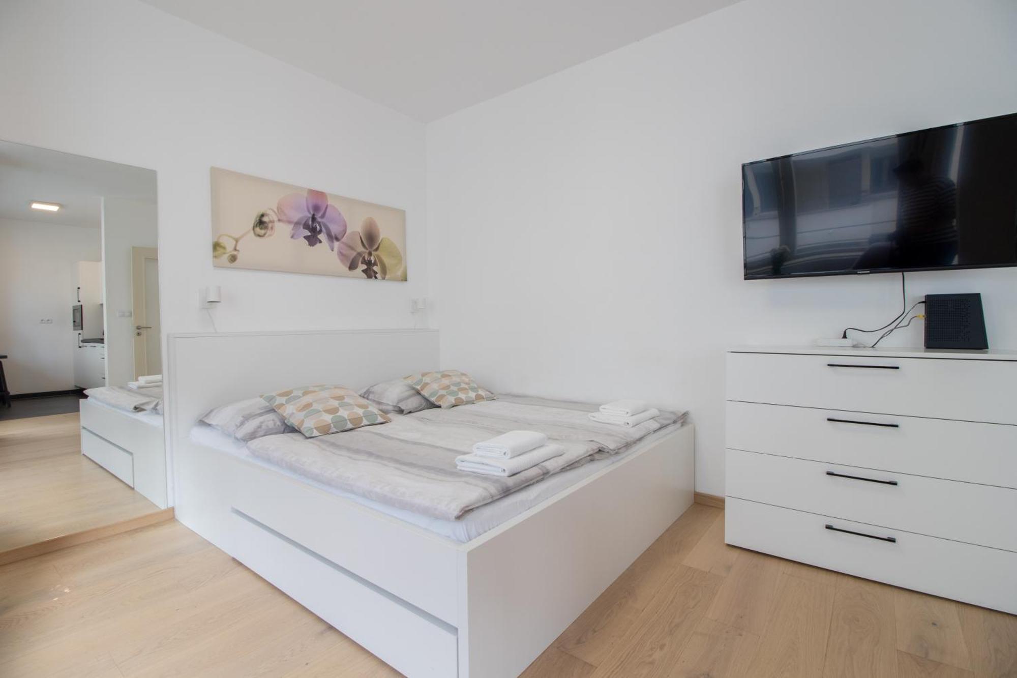 Krakovska Cr Apartments 布拉格 外观 照片